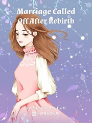 Marriage Called Off After Rebirth Book