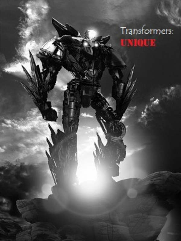 Transformers: unique Book
