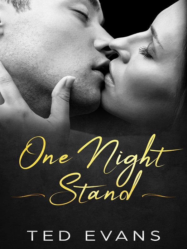 One Night Stand Book