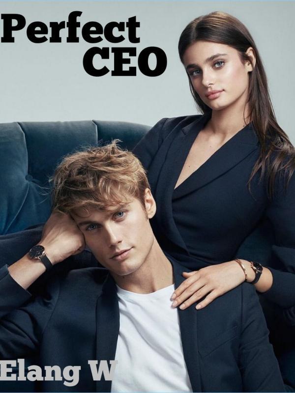 My Perfect CEO