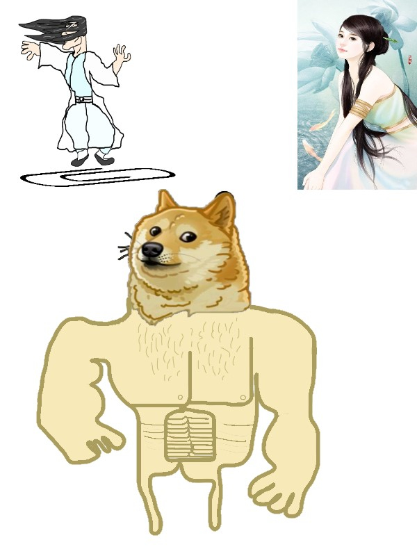 The Dao of the Doge : 斗狗之道