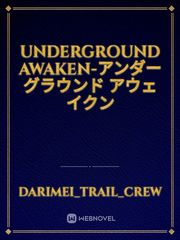 Underground Awaken-アンダーグラウンド アウェイクン Book