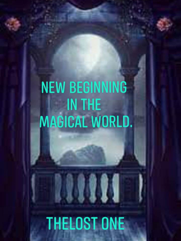 New Beginning In The Magical World Book