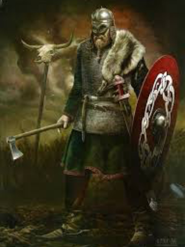 Rise of the Viking warrior Book