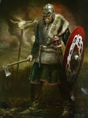 Rise of the Viking warrior Book