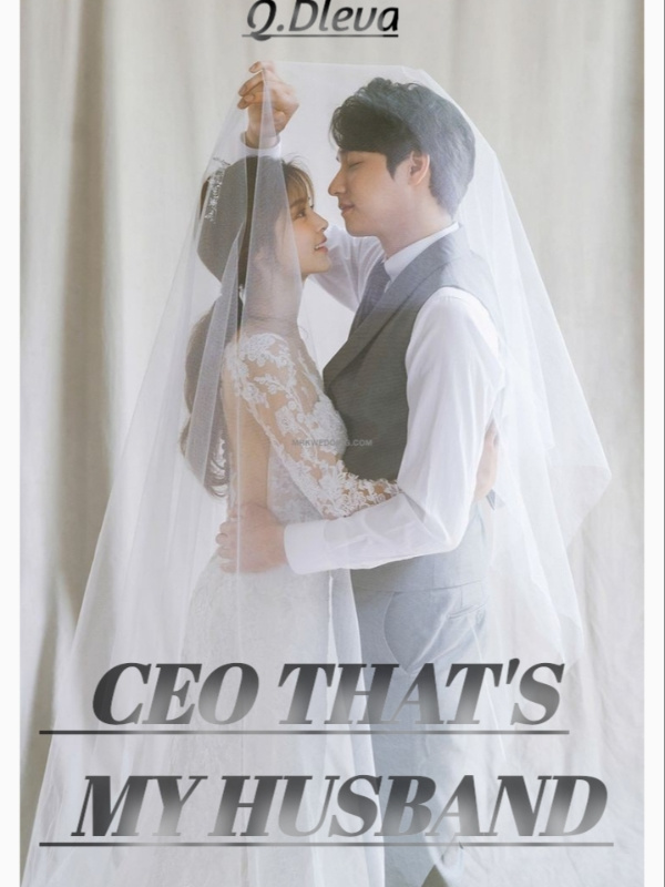CEO That's My Husband Book