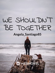We Shouldn’t Be Together Book