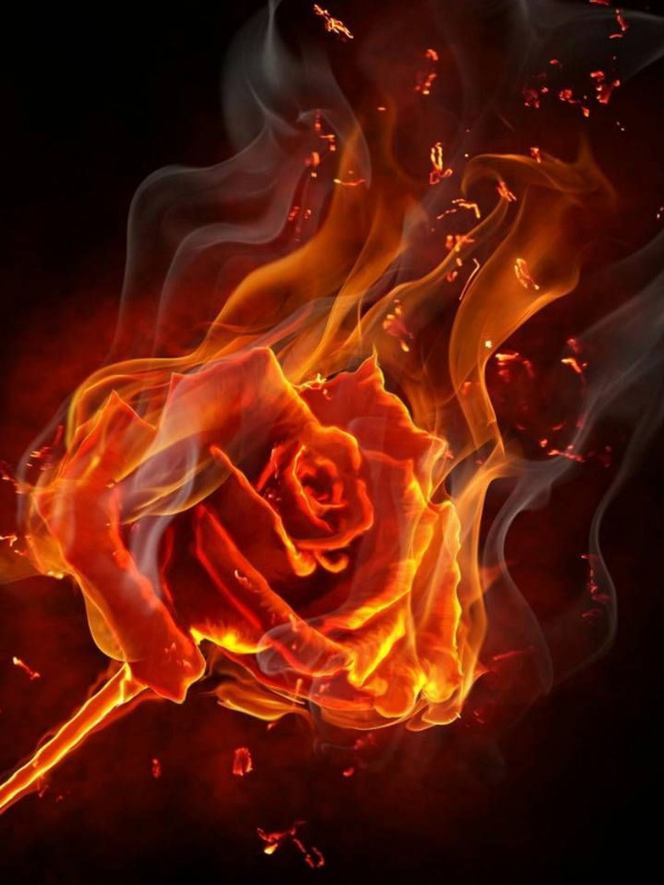 RWBY: A Burning Rose (Up for adoption)