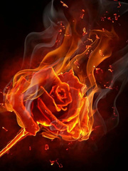 RWBY: A Burning Rose (Up for adoption) Book