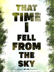 That Time I Fell From The Sky Book