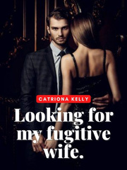 Looking For My Fugitive Wife Book