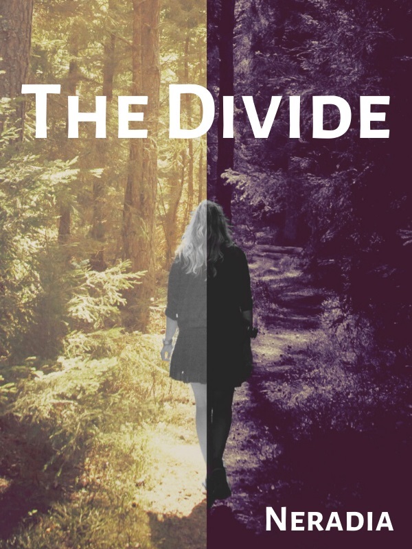 THE DIVIDE Book