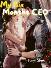 My Six Months CEO Book