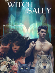 My Witch Sally Book