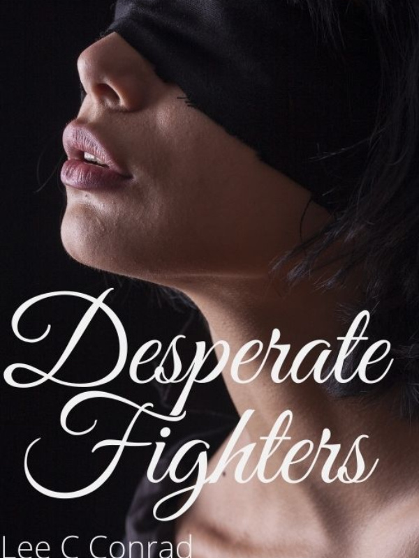 Desperate Fighters Book