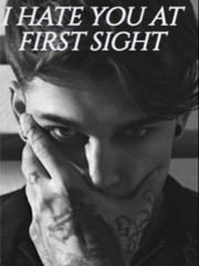 I Hate You At First Sight Book