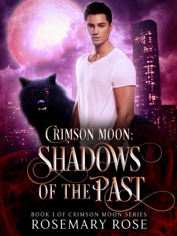 Crimson Moon: Shadows Of The Past Book
