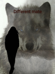 Different mate Book