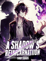 A Shadow's Reincarnation Book