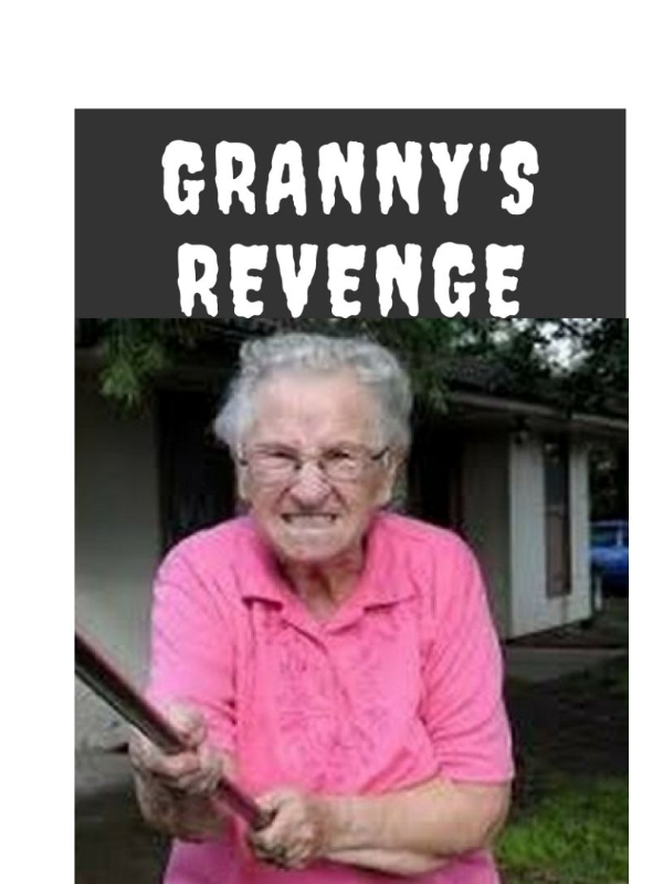 Granny's Revenge Book