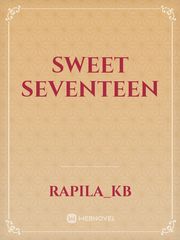 sweet seventeen Book