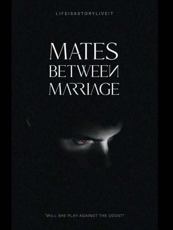 Mates Between Marriage Book