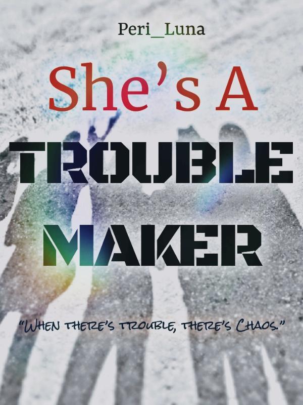 SHE'S A TROUBLEMAKER Book