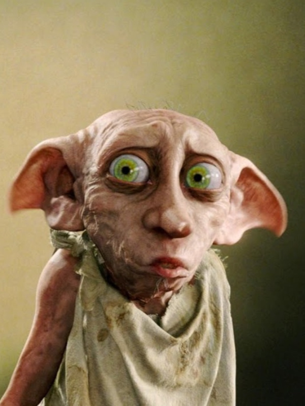To Be a House Elf Book