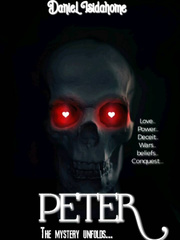 PETER: the mystery unfolds Book
