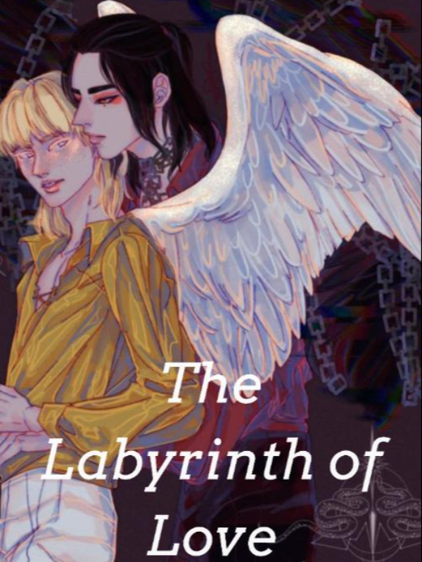 The Labyrinth of Love Book
