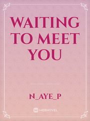 waiting to meet you Book