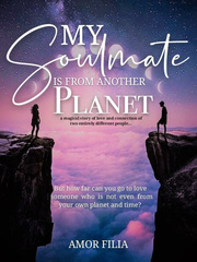 My Soulmate is from Another Planet Book