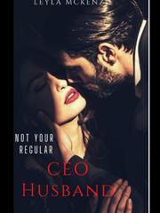 Not Your Regular CEO Husband Book