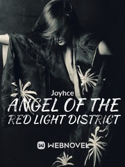 Angel of The Red Light Distrct Book