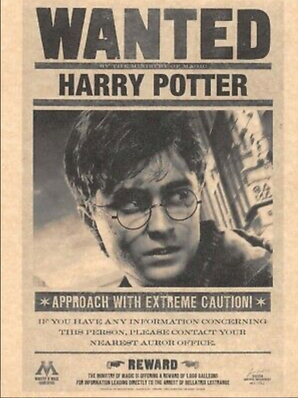 Harry Potter: Wanted