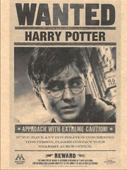 Harry Potter: Wanted Book