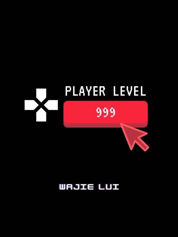 Player Level 999 Book