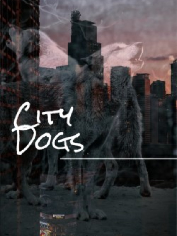 City Dogs Book