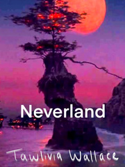 Neverland (Modern Retelling) Book