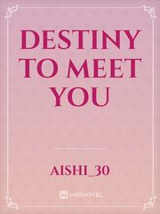 Destiny To Meet You Book