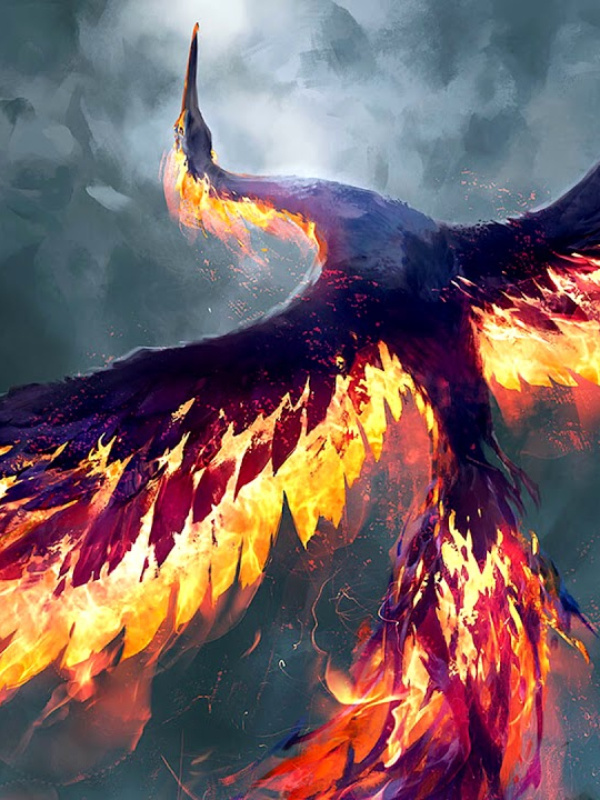 The Phoenix - A GOT Fan-Fiction