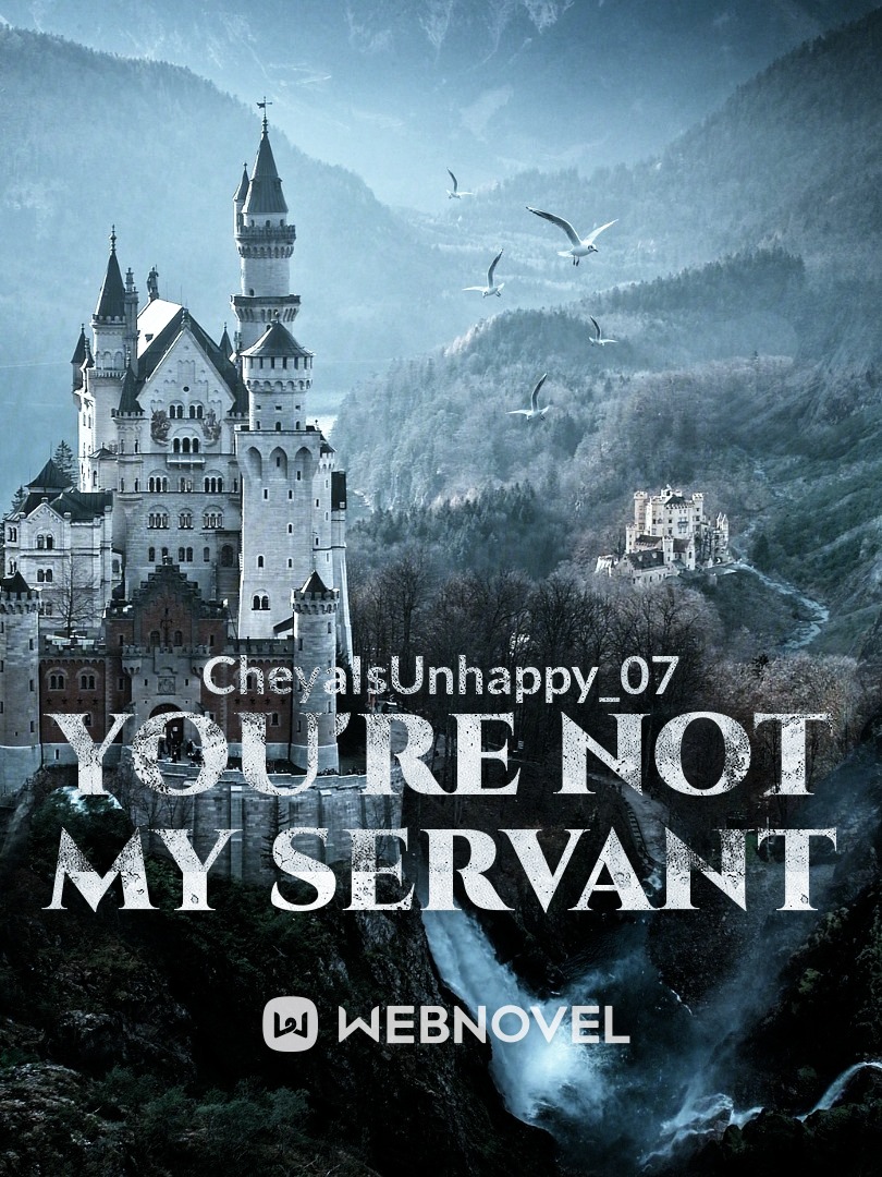 You're Not My Servant Book