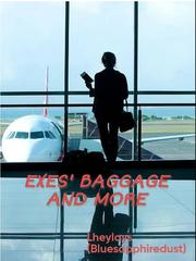 Exes' Baggage And More Book