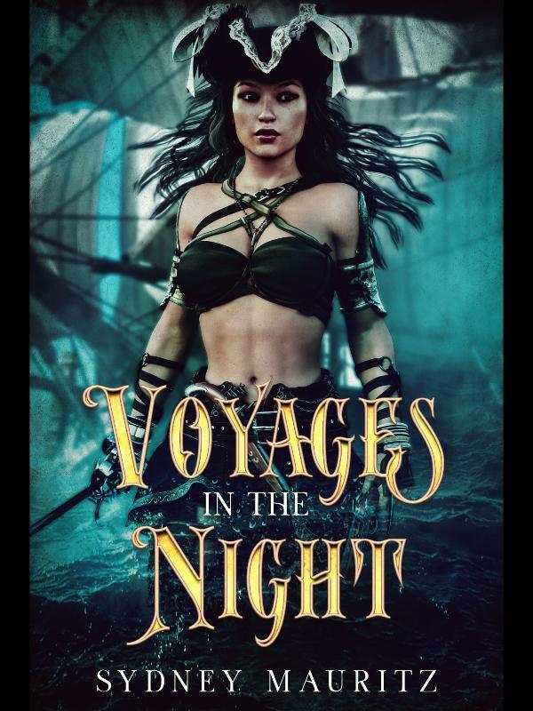 Voyages In The Night Book