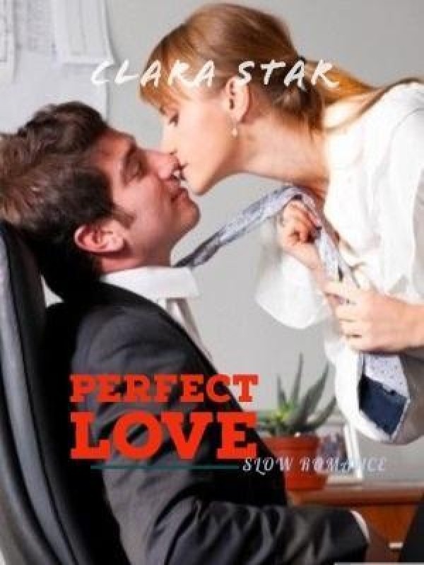 PERFECT LOVE! Book