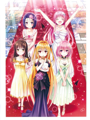 To LOVE Ru - The Not So Golden Darkness Book