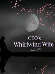 CEO'S Whirlwind Wife Book
