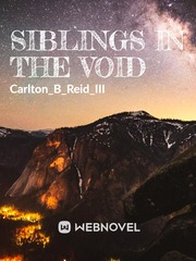 Siblings in the Void Book