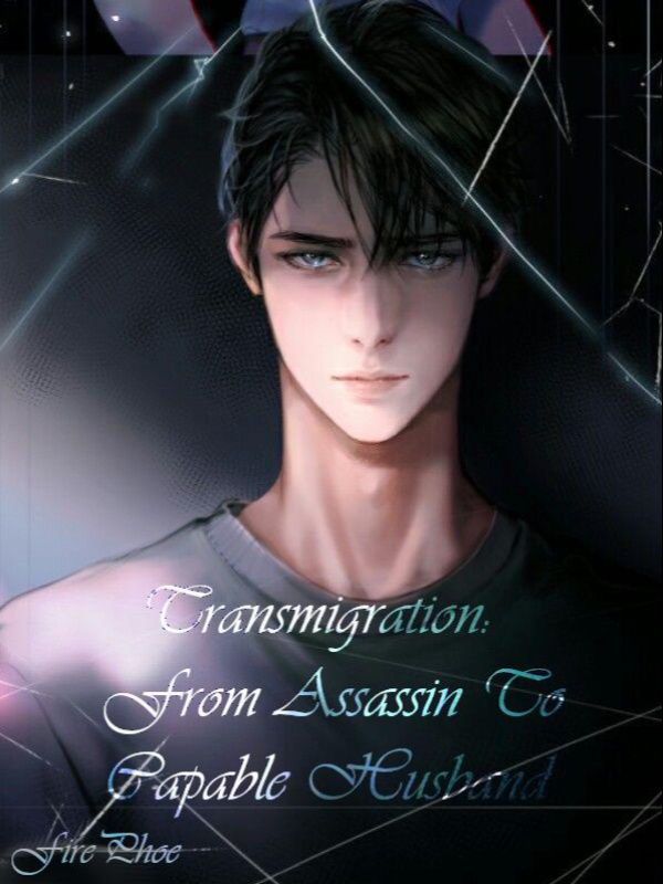 Transmigration: From Assassin To Capable Husband Book