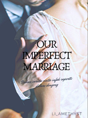 Our Imperfect Marriage Book